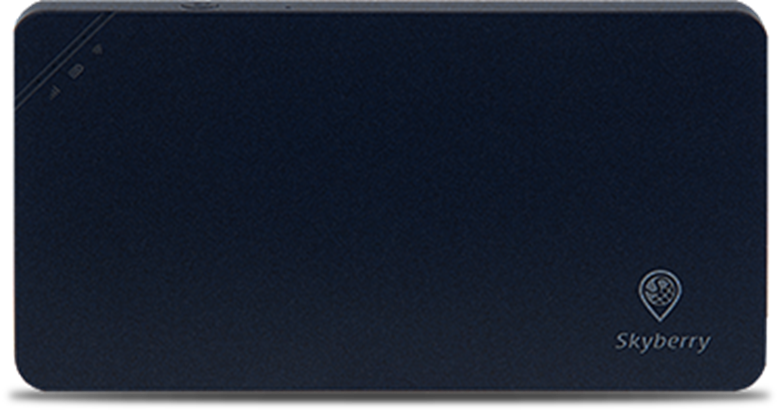 Skyberryレンタル